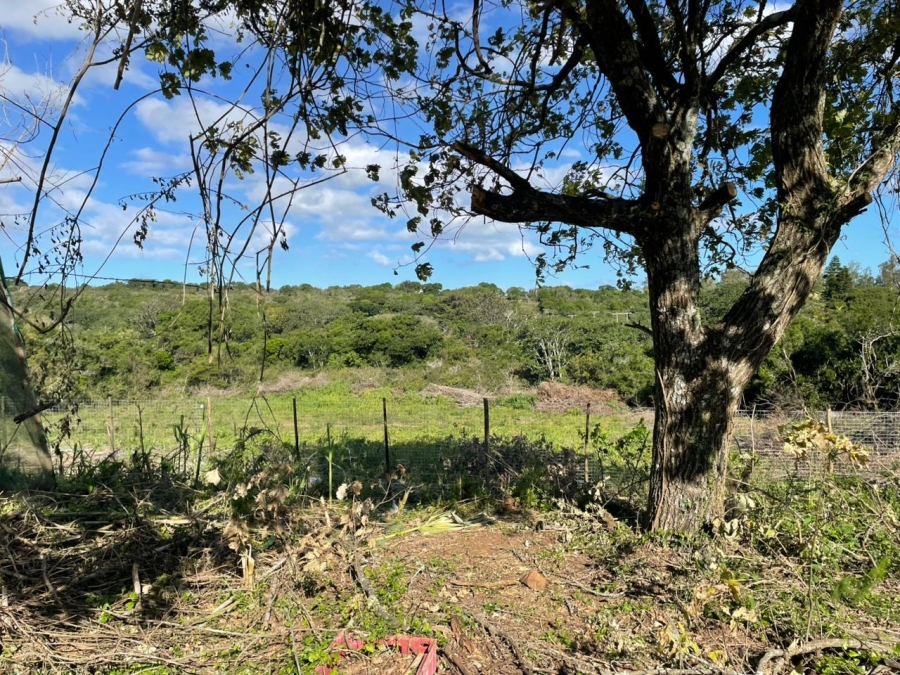 3 Bedroom Property for Sale in Bathurst Eastern Cape